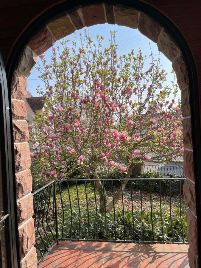 Schmitt Apartment Selestat