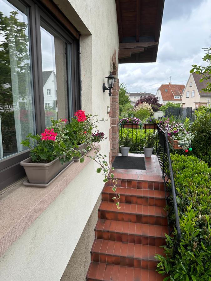 Schmitt * Selestat