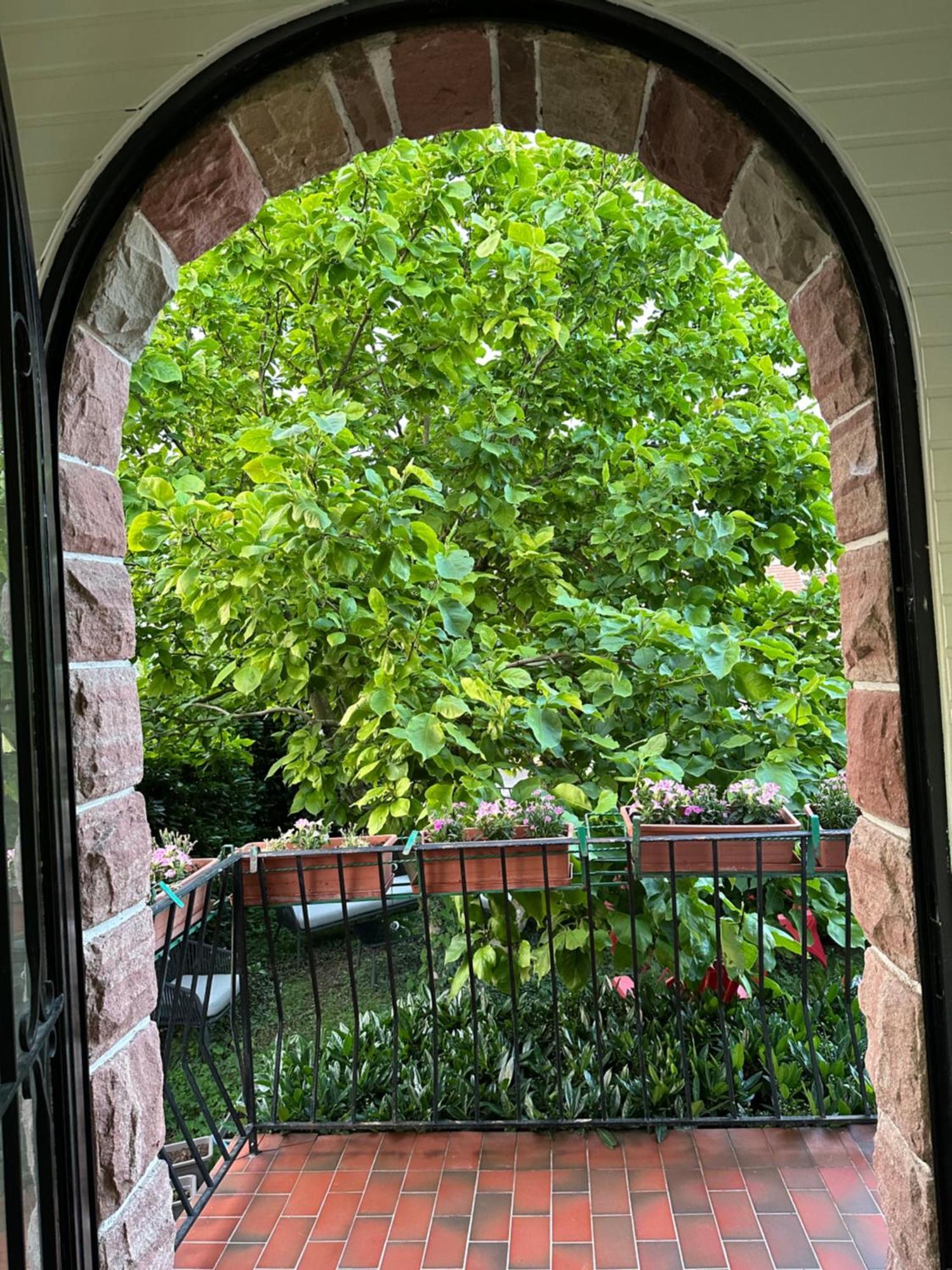 Schmitt Apartment