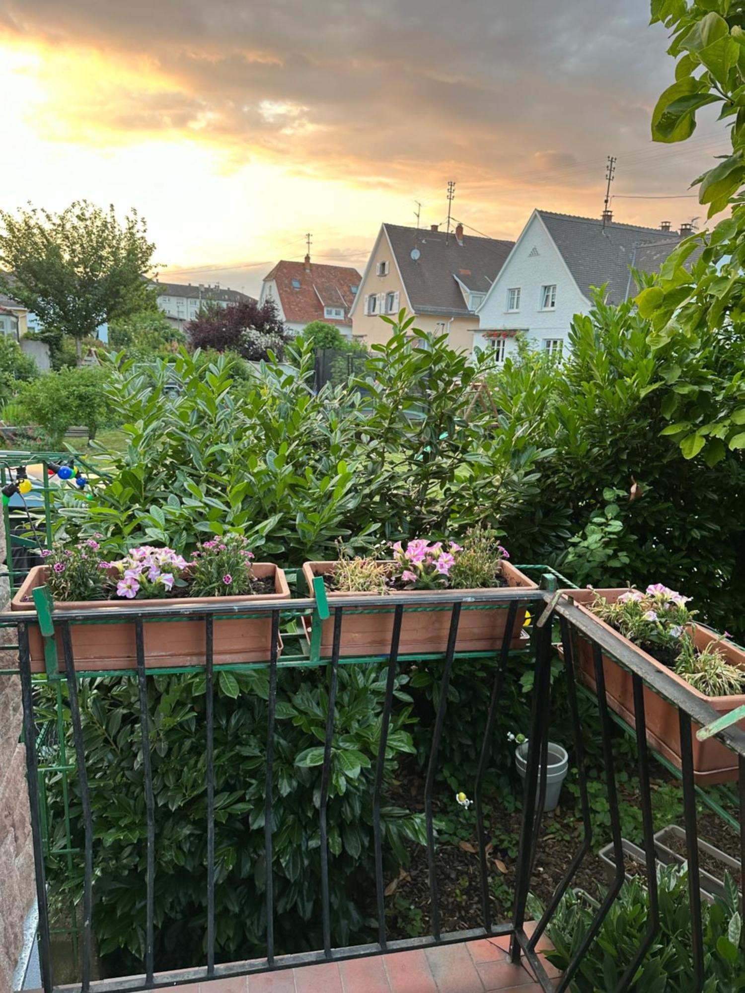 Apartment Schmitt