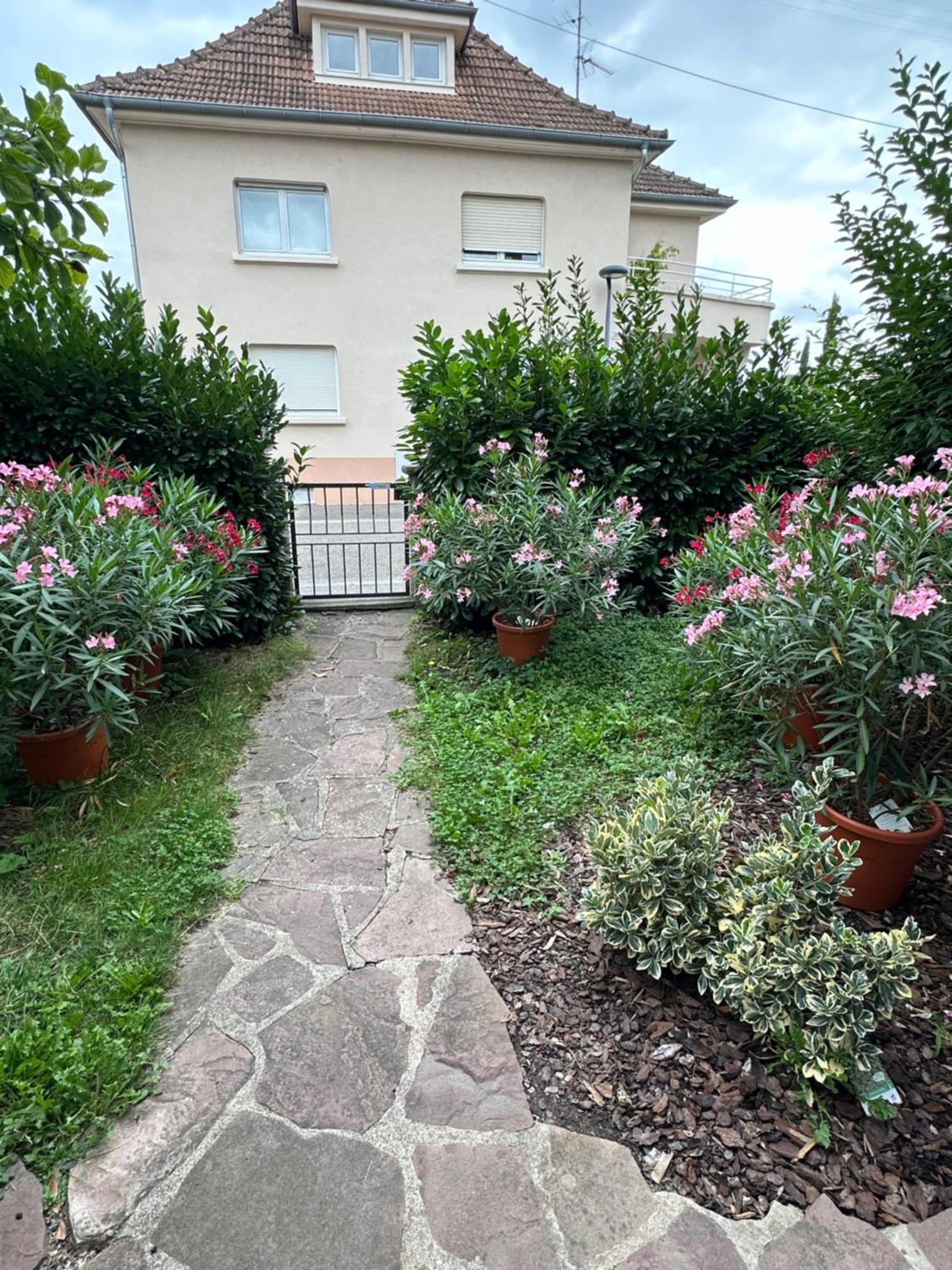 Schmitt Selestat